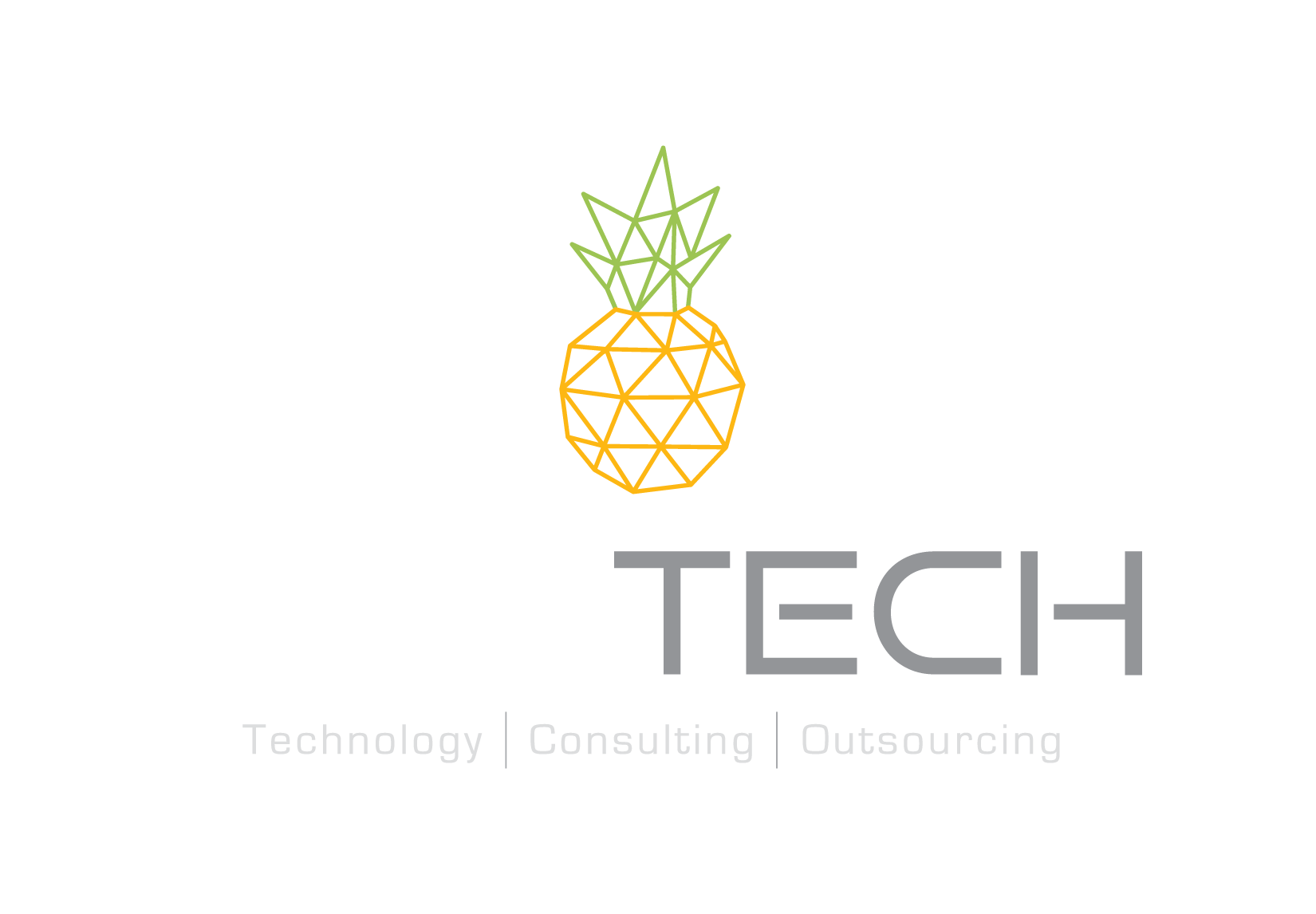 pina-tech.com